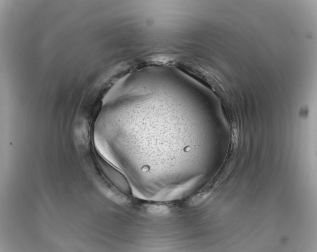 X0000091090572200709041305