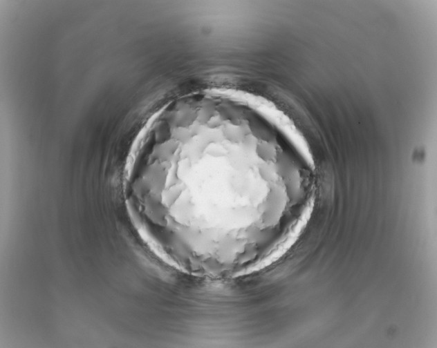 X0000091090573200709041305