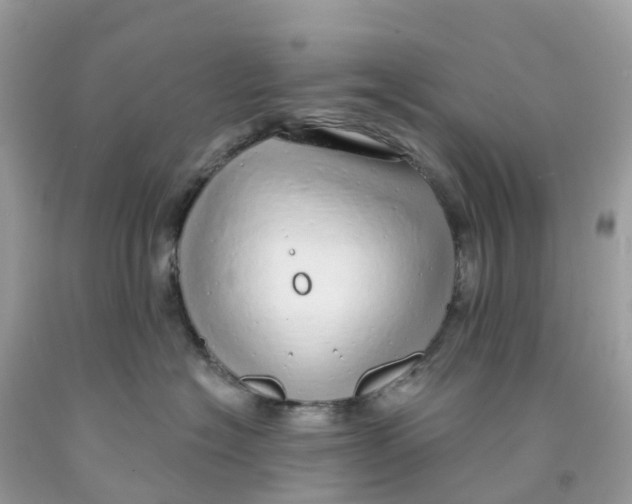 X0000091090574200709041305