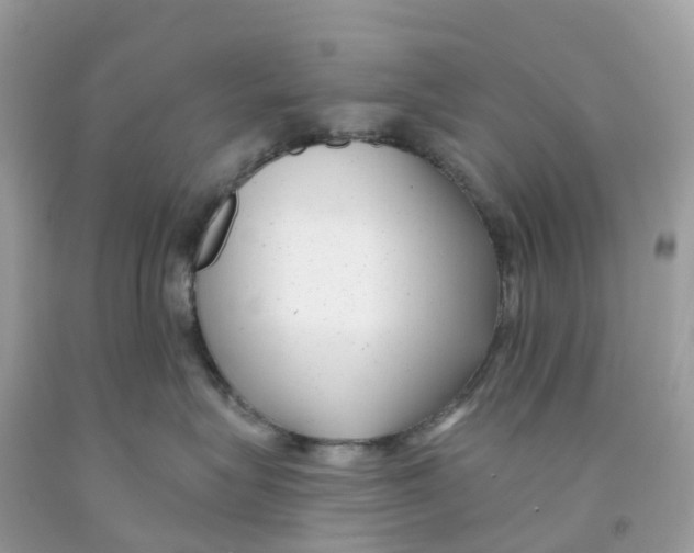 X0000091090575200709041305