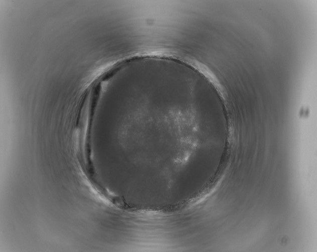 X0000091090577200709041304