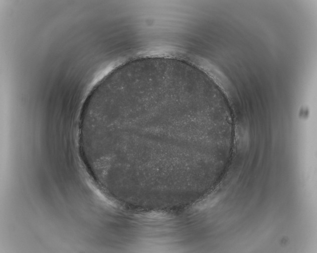 X0000091090578200709041304