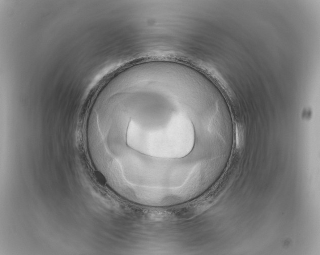 X0000091090579200709041304