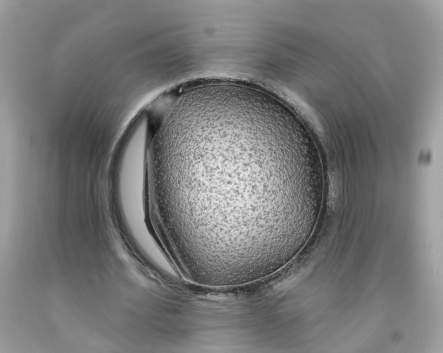 X0000091090580200709041304