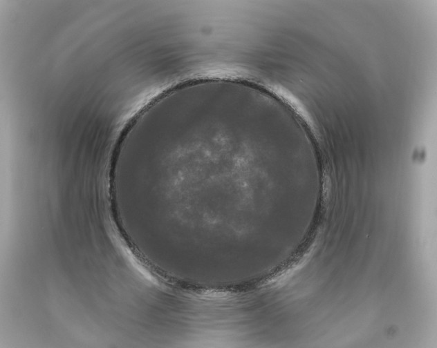 X0000091090581200709041304