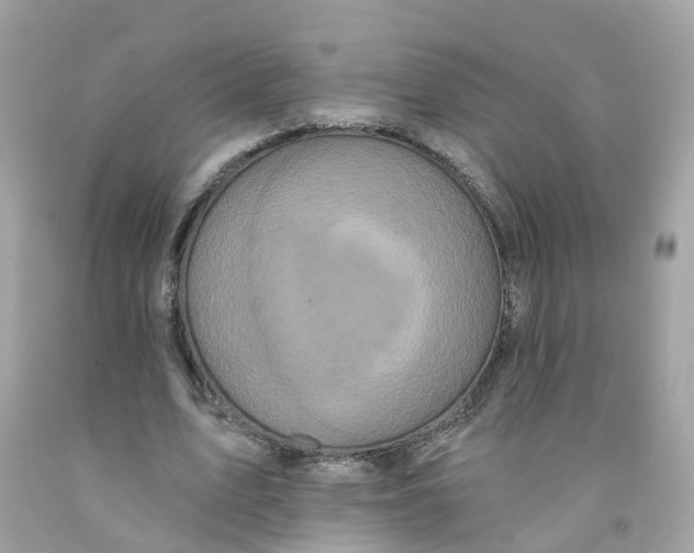 X0000091090583200709041304