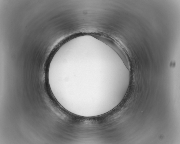 X0000091090584200709041304