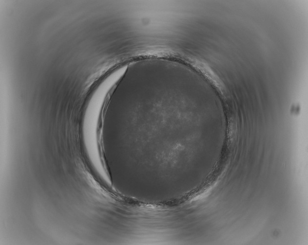 X0000091090585200709041304