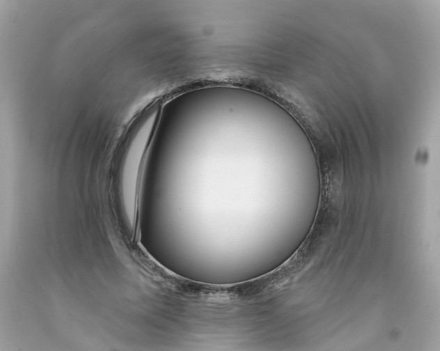 X0000091090587200709041304