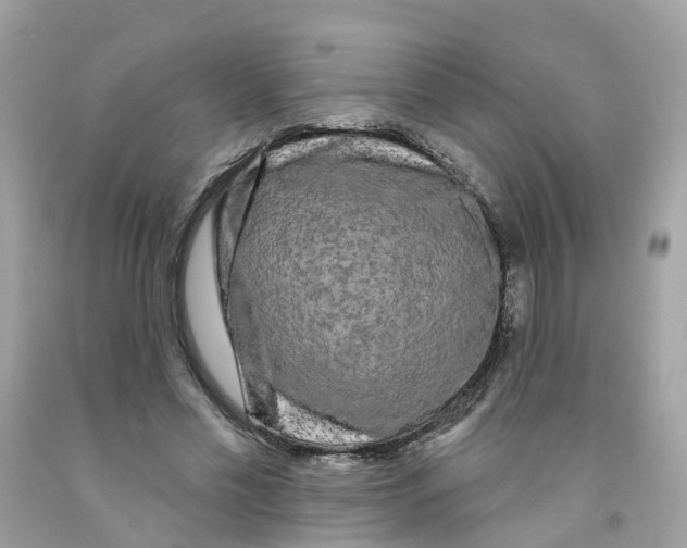 X0000091090589200709041304