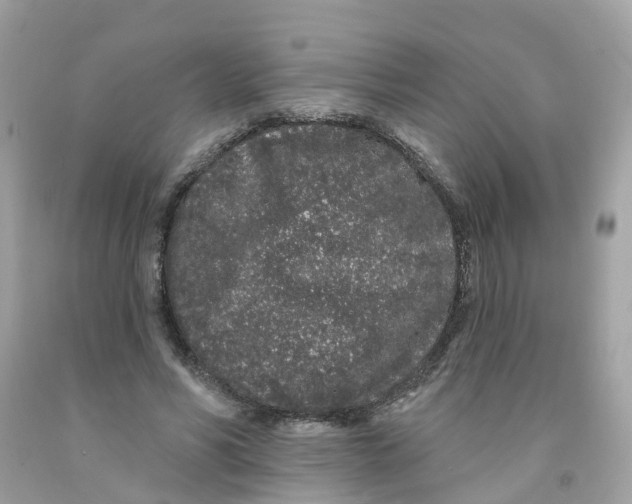 X0000091090590200709041304