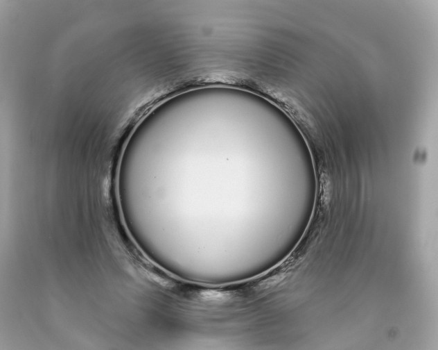 X0000091090591200709041304