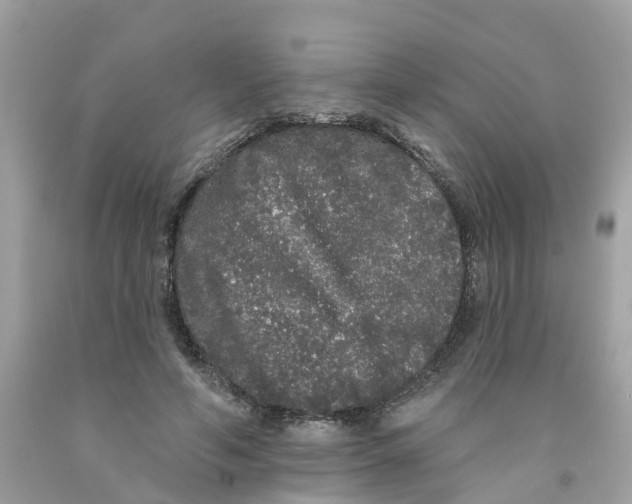 X0000091090594200709041304
