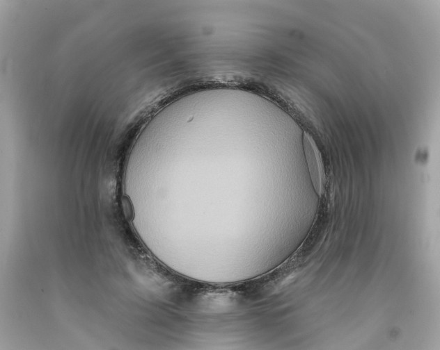 X0000091090595200709041304