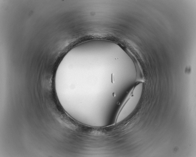 X0000091090596200709041304