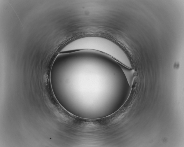 X0000091090597200709041304