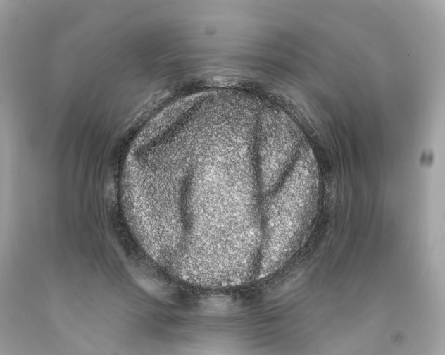 X0000091090598200709041304