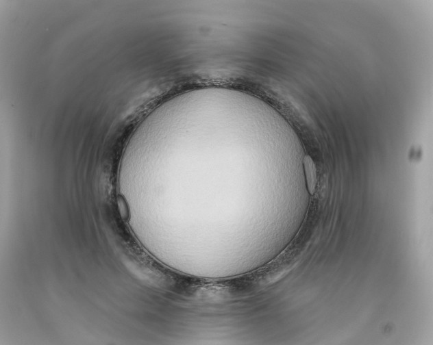X0000091090599200709041304