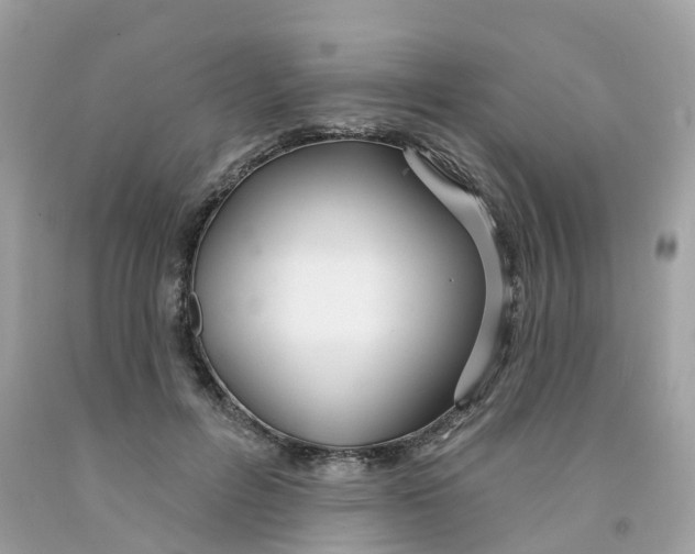 X0000091090600200709041304
