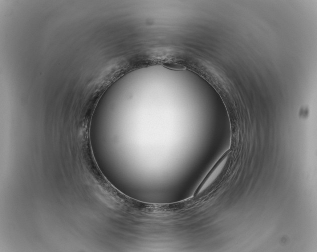 X0000091090601200709041304