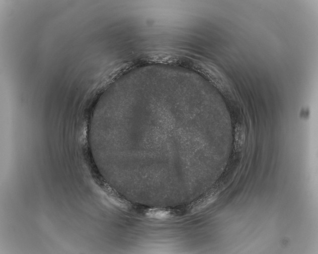 X0000091090602200709041304