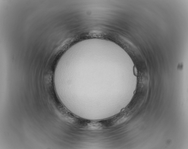 X0000091090603200709041304