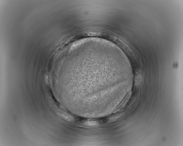 X0000091090604200709041304
