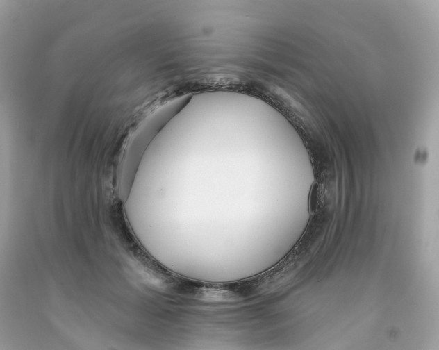 X0000091090605200709041304
