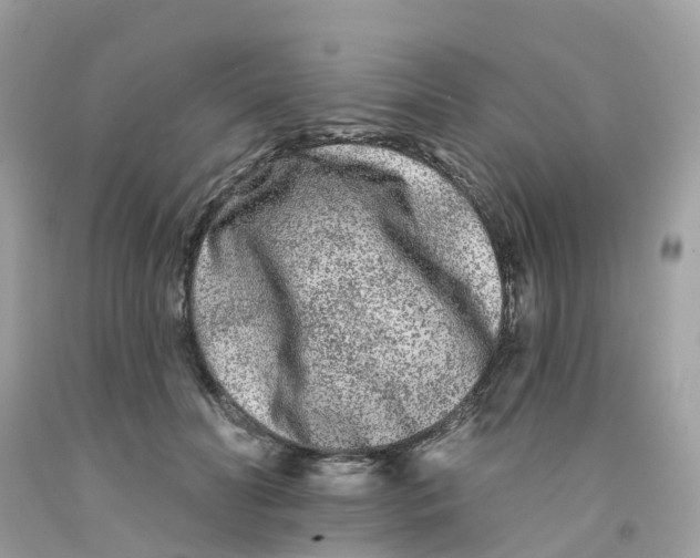 X0000091090606200709041304
