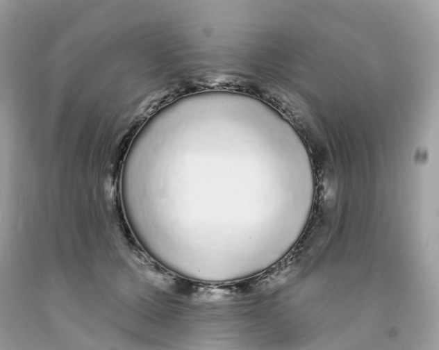 X0000091090607200709041304