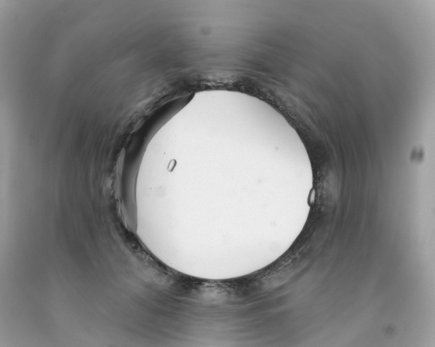 X0000091090608200709041304