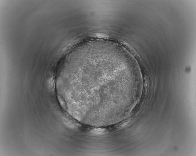 X0000091090609200709041304