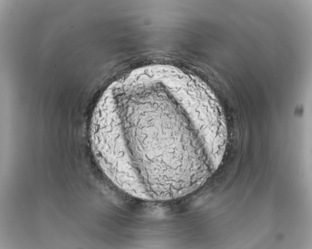 X0000091090610200709041304