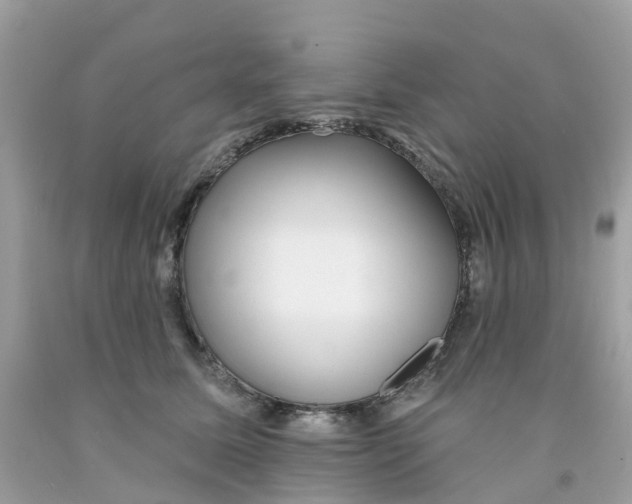 X0000091090611200709041304