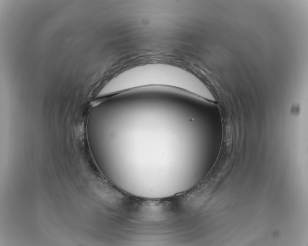 X0000091090613200709041304