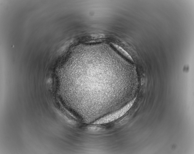 X0000091090614200709041304