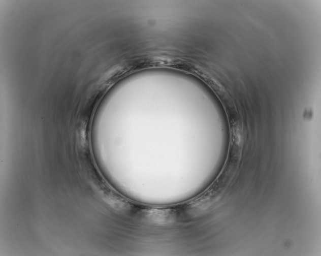 X0000091090615200709041304