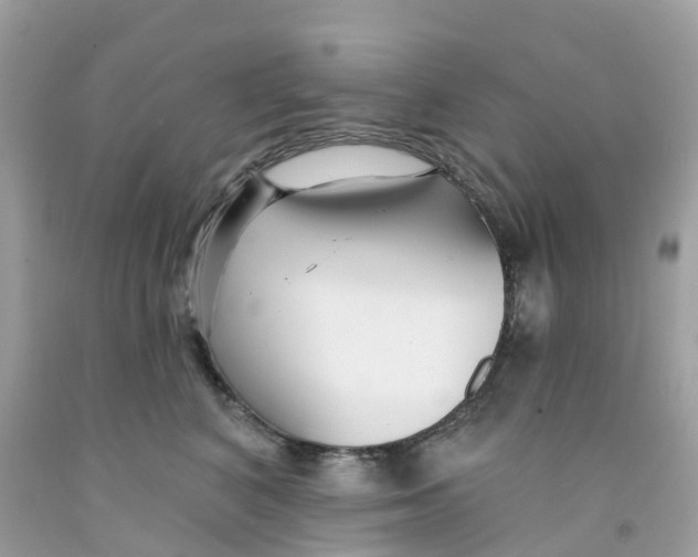 X0000091090616200709041304