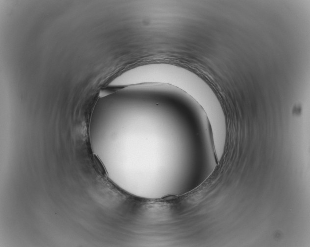 X0000091090617200709041304