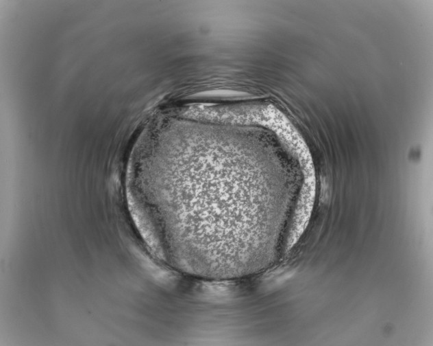X0000091090618200709041304