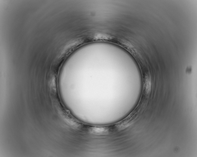 X0000091090619200709041304