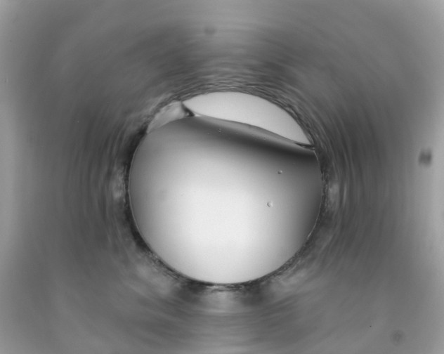 X0000091090620200709041303