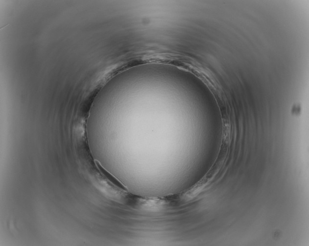 X0000091090621200709041303