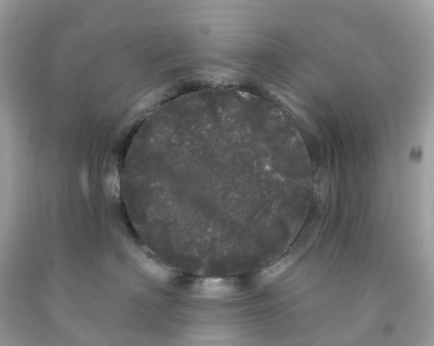 X0000091090622200709041303