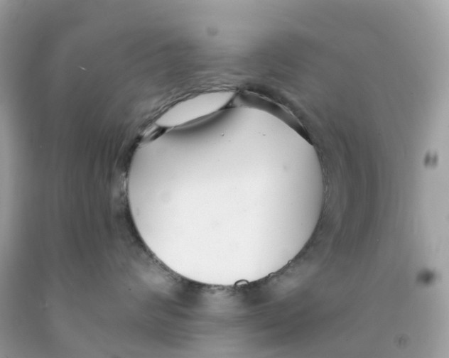 X0000091090624200709041303