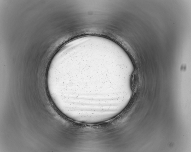 X0000091090625200709041303