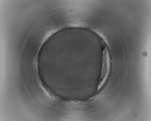 X0000091090626200709041303