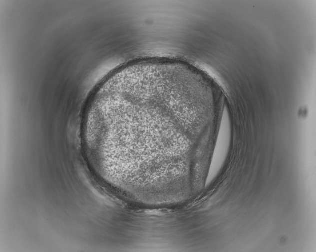 X0000091090627200709041303