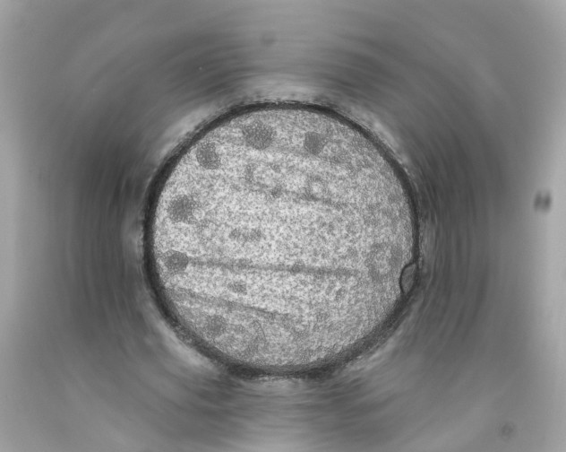 X0000091090629200709041303