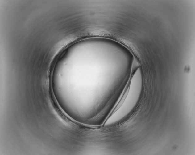 X0000091090630200709041303
